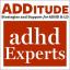 Послушајте „Мање забринутости: Управљање анксиозности код деце и адолесцената са АДХД-ом“ са Еилеен Цостелло, М.Д., и Перри Классом, М.Д.
