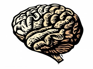 Траума утиче на ваш мозак, али излечење ПТСП-а је вероватније него икад. Сазнајте како траума утиче на мозак и како вам неуропластичност помаже да се опоравите. Прочитај ово.